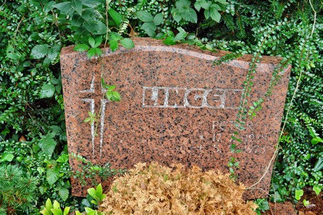 friedhof-suerth