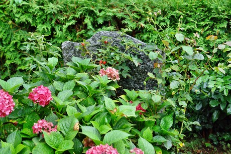 friedhof-suerth