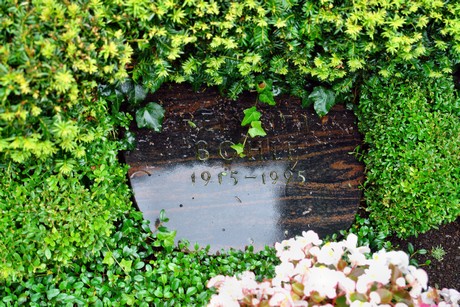 friedhof-suerth