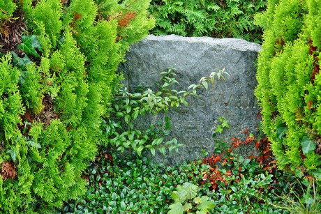 friedhof-suerth