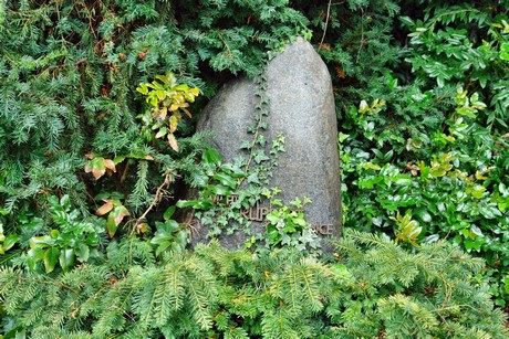 friedhof-suerth