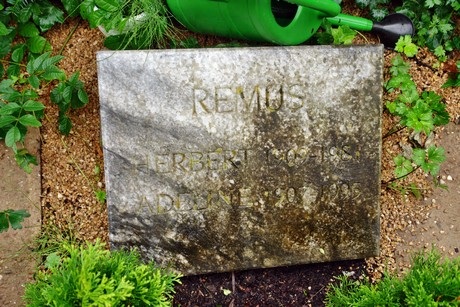 friedhof-suerth