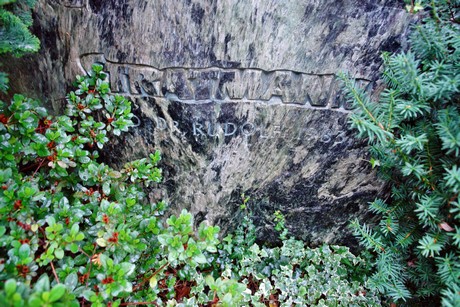 friedhof-suerth