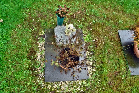 friedhof-suerth