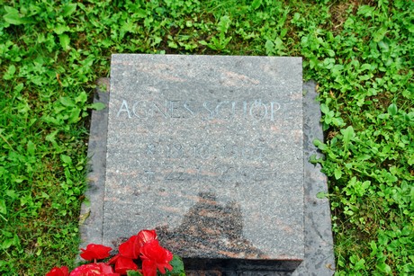 friedhof-suerth
