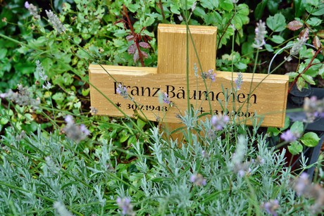 friedhof-suerth