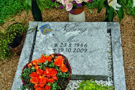 friedhof-suerth