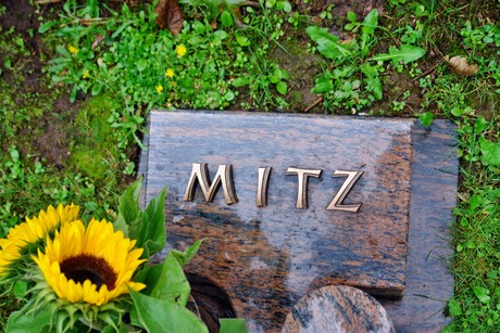 friedhof-suerth