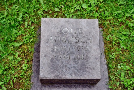 friedhof-suerth