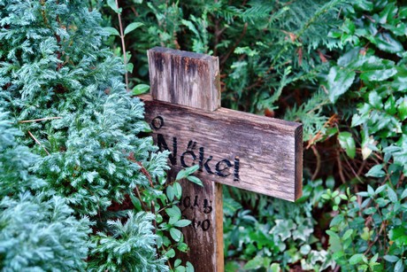 friedhof-suerth