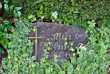 friedhof-suerth