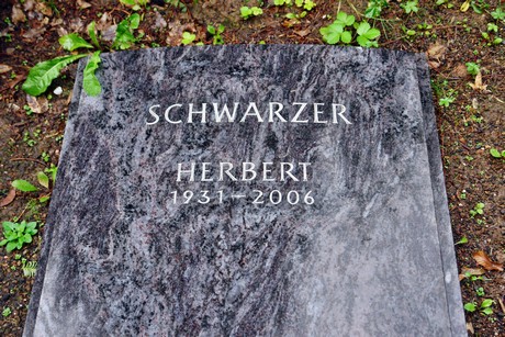 friedhof-suerth