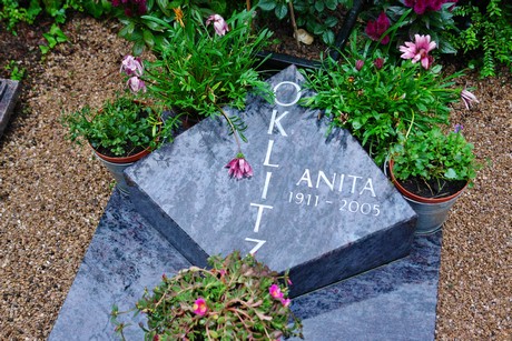 friedhof-suerth
