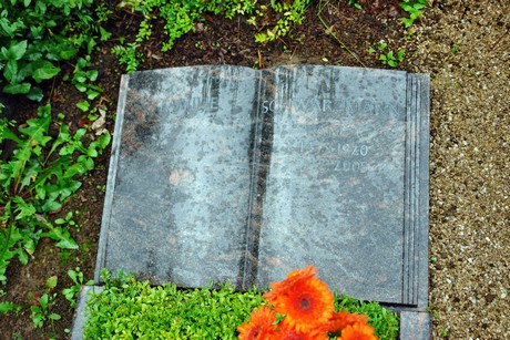 friedhof-suerth