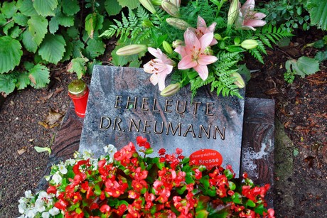 friedhof-suerth