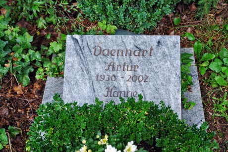 friedhof-suerth