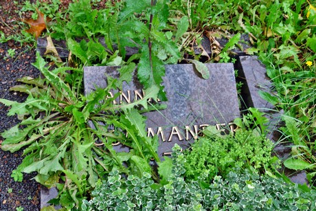 friedhof-suerth