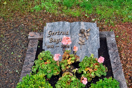 friedhof-suerth