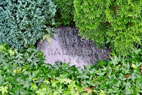 friedhof-suerth