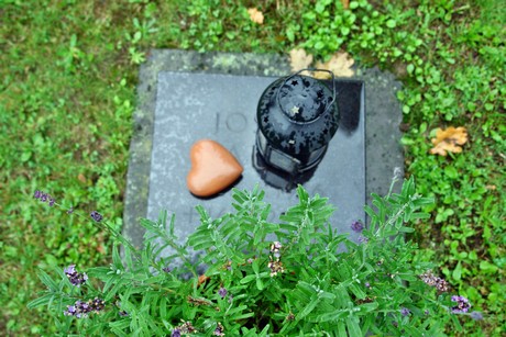 friedhof-suerth
