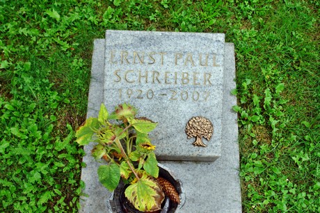 friedhof-suerth