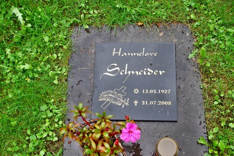 friedhof-suerth