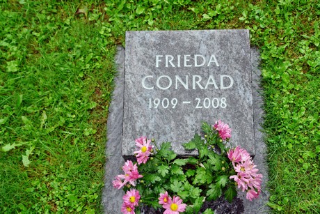 friedhof-suerth