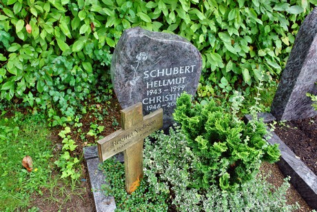 friedhof-suerth