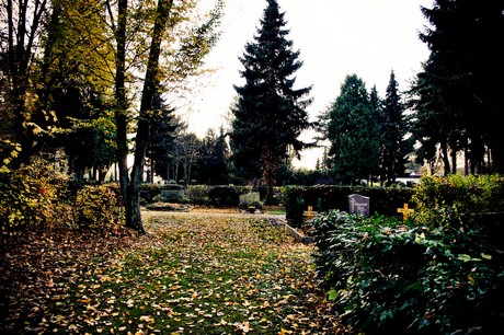 friedhof