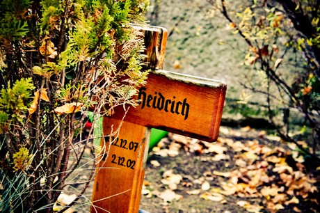 friedhof