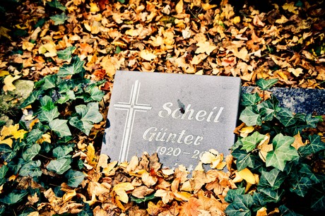friedhof
