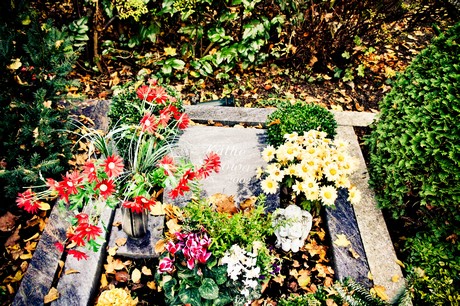 friedhof