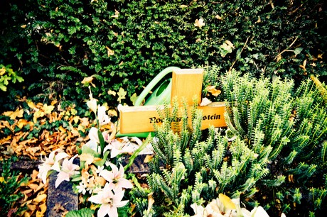 friedhof