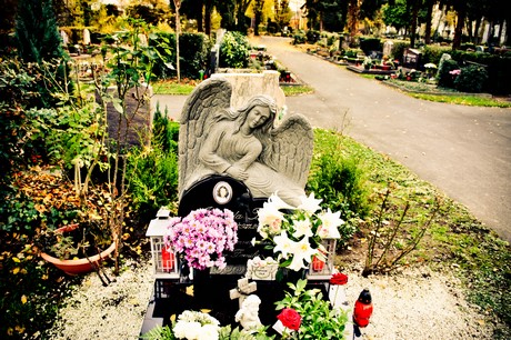 friedhof