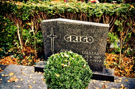 friedhof