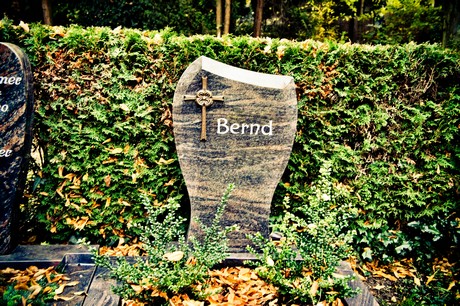 friedhof
