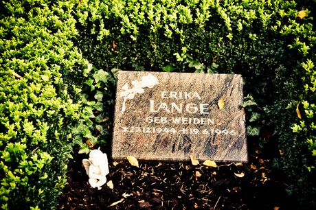 friedhof