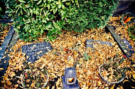 friedhof