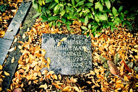 friedhof