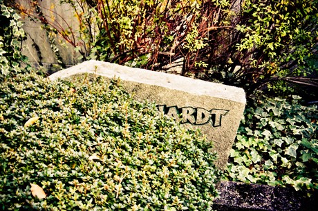 friedhof