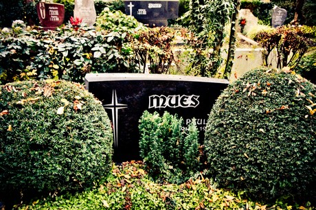 friedhof