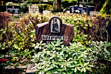 friedhof