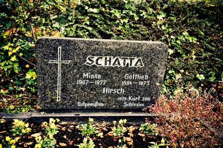 friedhof