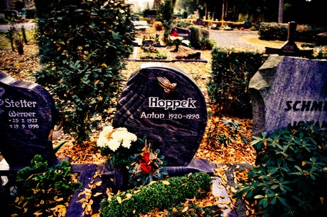 friedhof