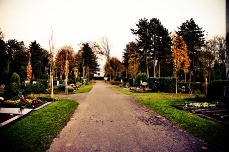friedhof