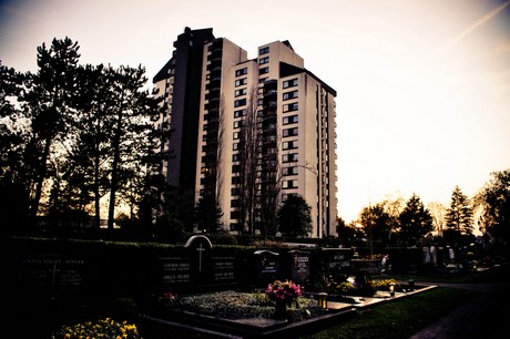friedhof