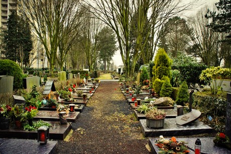 friedhof