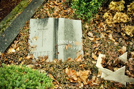 friedhof