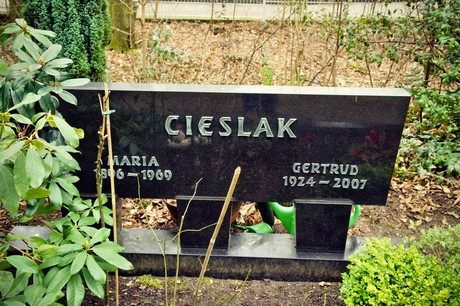 friedhof