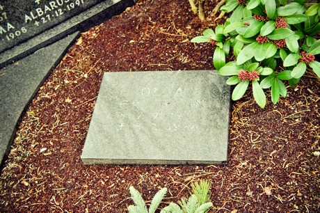 friedhof
